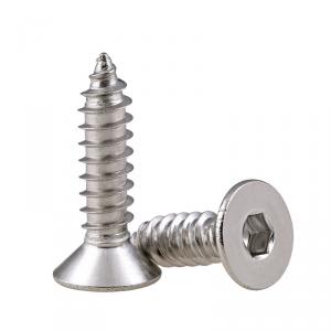 metric SS304 stainless steel hexagon socket countersunk head tapping screw 