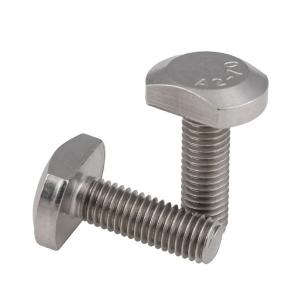 metric SS304 stainless steel T-bolt 