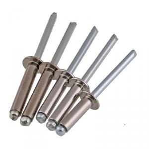 SS304 stainless steel blind rivet 